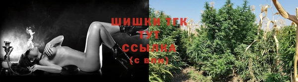 ешки Гусь-Хрустальный