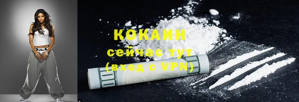 ешки Гусь-Хрустальный