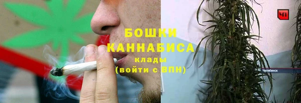 экстази Гусев