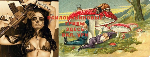 mix Гусиноозёрск