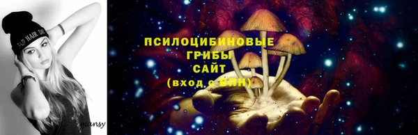 ешки Гусь-Хрустальный