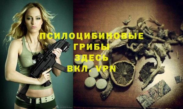 mix Гусиноозёрск