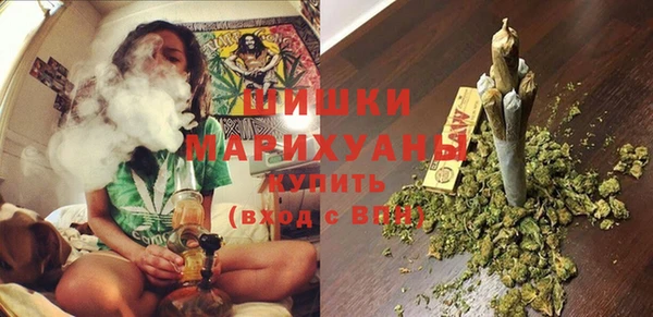 mix Гусиноозёрск