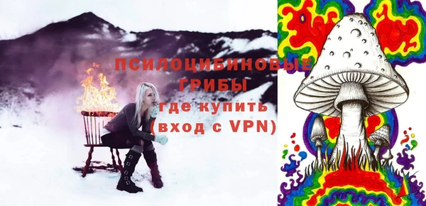 экстази Гусев