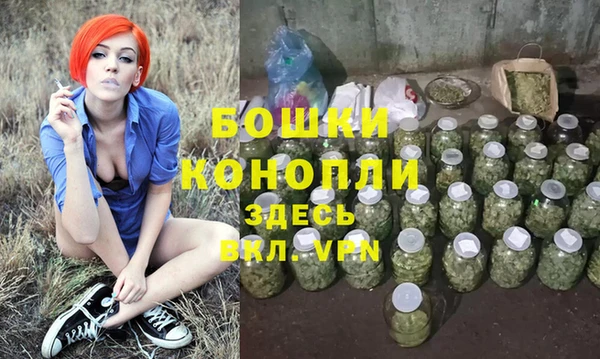 экстази Гусев