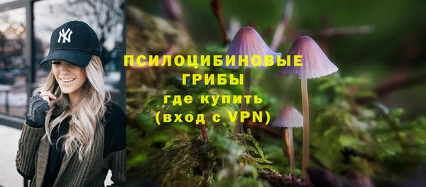 mix Гусиноозёрск