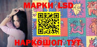 крисы Можга