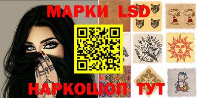 крисы Можга
