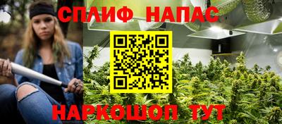 крисы Можга