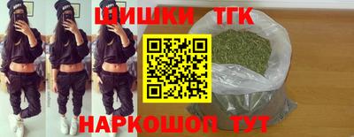 крисы Можга