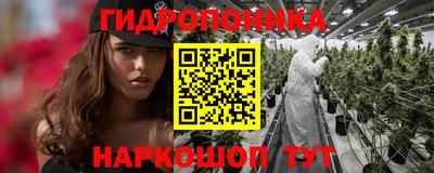 крисы Можга