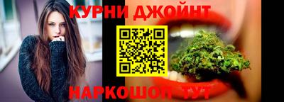крисы Можга