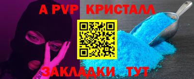 крисы Можга