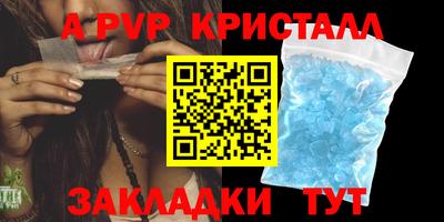 крисы Можга