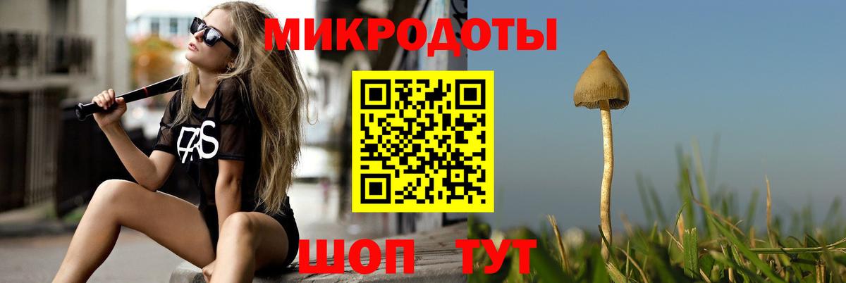 Звенигород  наркота  Вход с VPN  Галлюциногенные грибы Psilocybine cubensis 