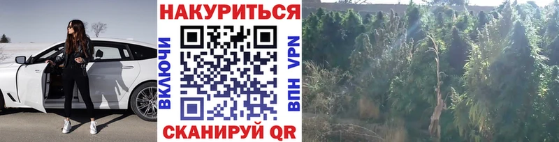 Марихуана AK-47  Звенигород 